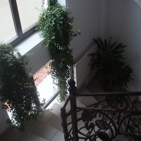Villa Edera Residence - Gazda Profesionista 布加勒斯特 外观 照片