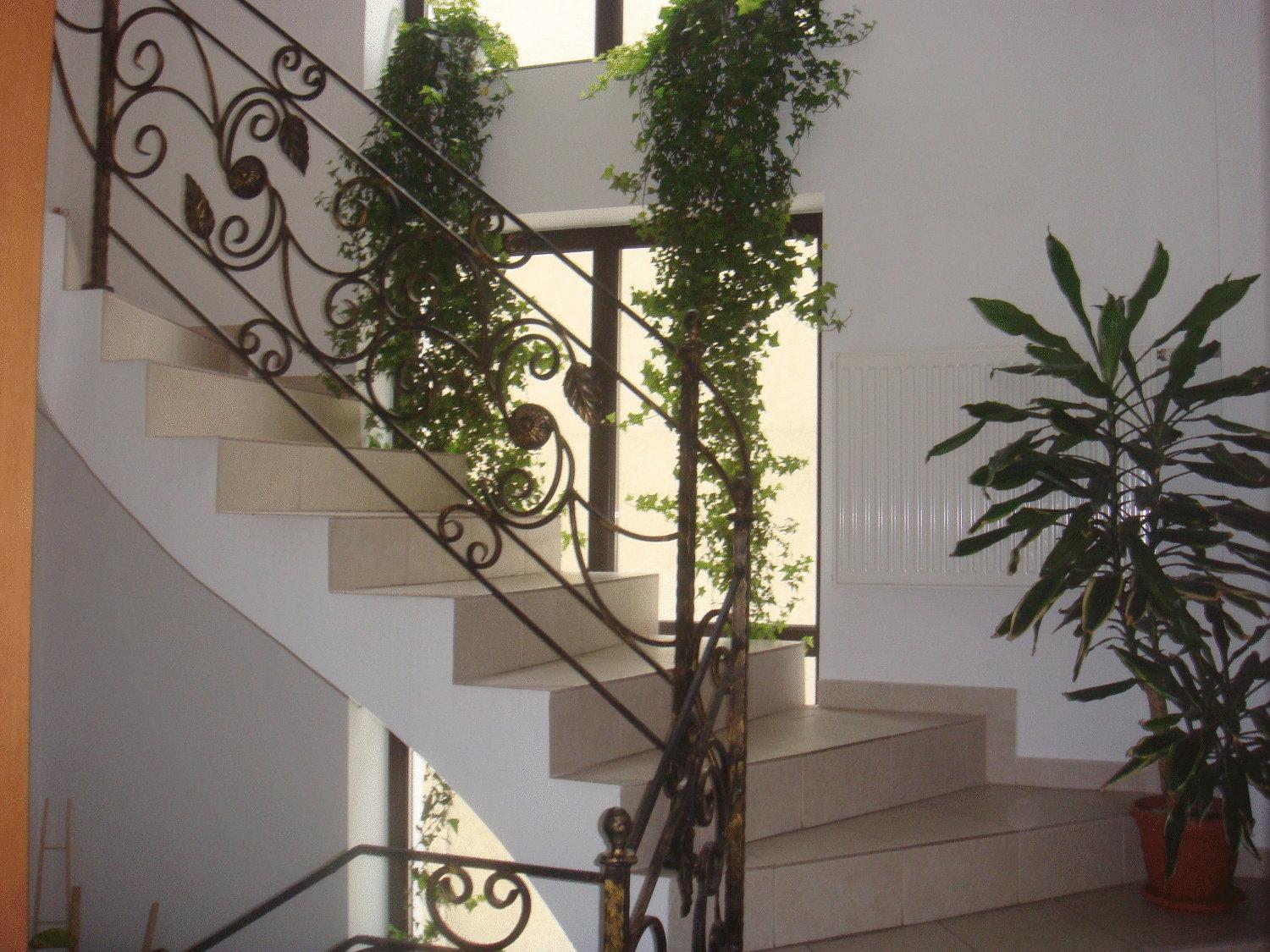 Villa Edera Residence - Gazda Profesionista 布加勒斯特 外观 照片
