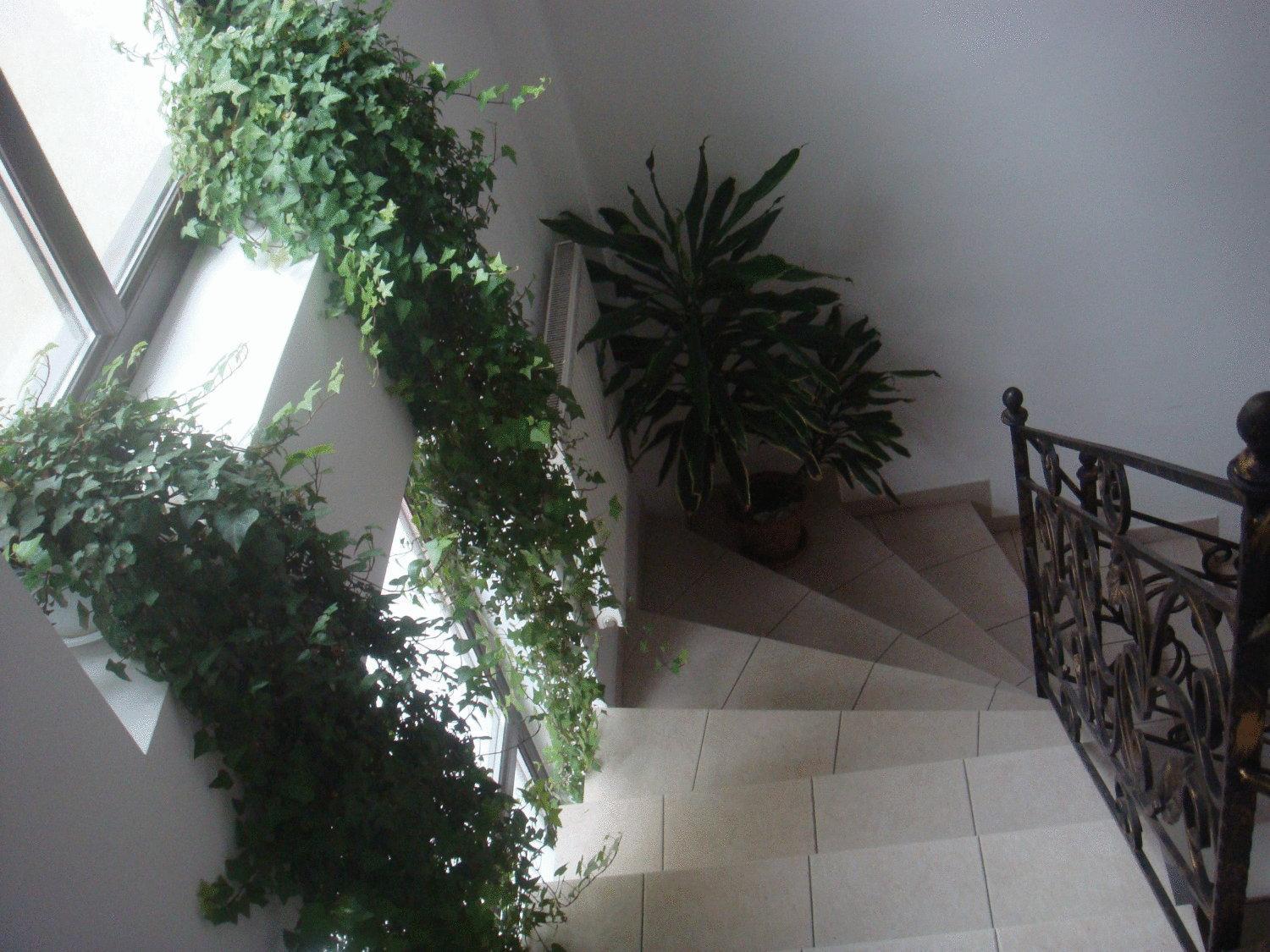 Villa Edera Residence - Gazda Profesionista 布加勒斯特 外观 照片
